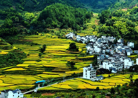 德阳市国家深化整体谋划性建设用地入市试点顺遂完成