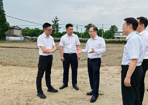 胡云赴眉山调研耕地；；；；；な褂煤透弑曜寂┨锝ㄉ枋虑