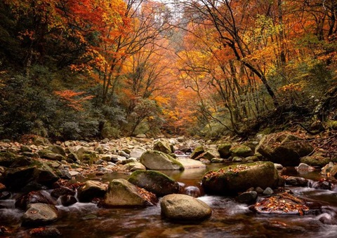 巴中光雾山—诺水河天下地质公园加入中国天下地质公园生长20周年岁念运动