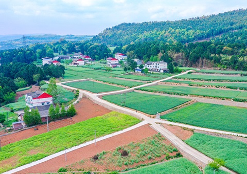 广元市推行“卫星田长”科技助力精准保唬；；じ