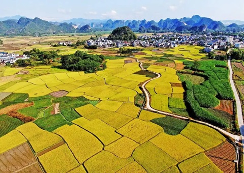 强化“指挥棒”作用&nbsp;&nbsp;柳州市发放500万元耕地保唬；；；ぁ凹だ彀