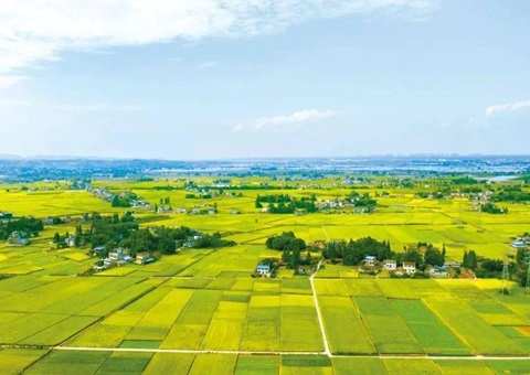 四川省眉山市局“三措并举”提升储备土地治理效能 筑牢高质量生长土地要素包管