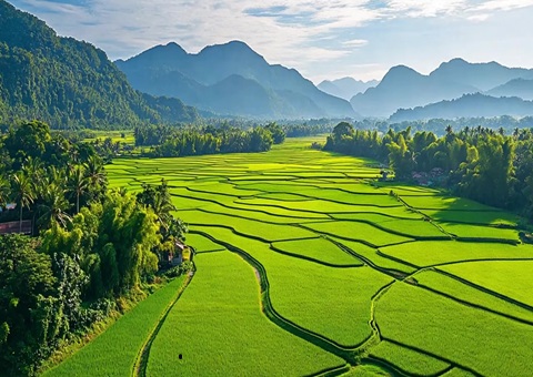 “自然资源+税务”协同共治！崇左筑牢耕地；；；；び胨笆铡八赖亍