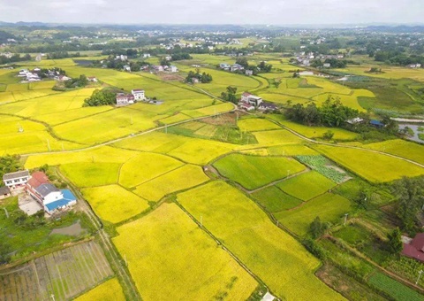 四川省遂宁市局多行动增强暂时用地审批效劳与治理