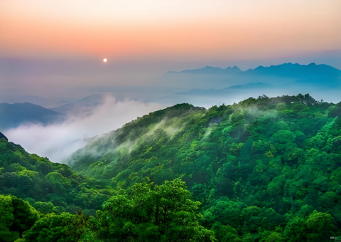 福建森林提质四放纵措打造黎民“幸？？可健