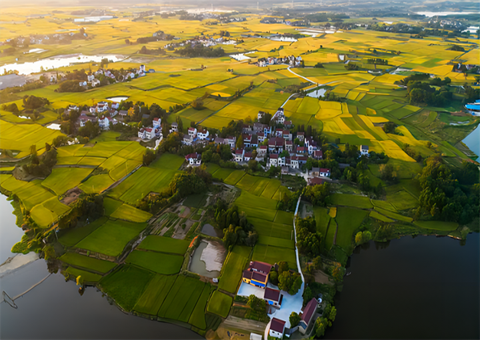 自然资源部调研广汉全域土地综合整治事情