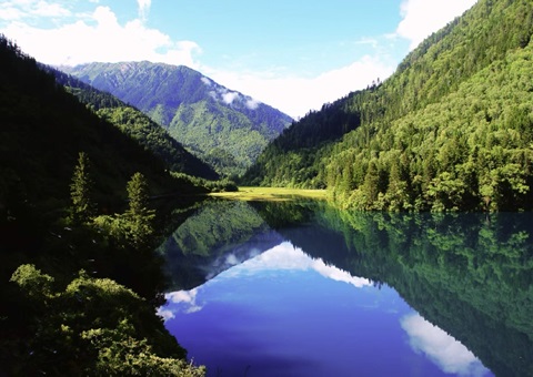 预计2025年底，，，，，四川省“林粮”产量1500万吨、产值1800亿元