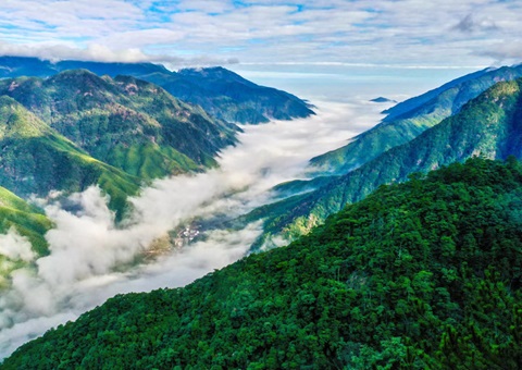“组合包”，，流通生态产品价值转化