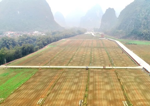 广西首批300万元全域土地综合整治奖励性津贴兑现   推动“依效奖补、以评促建”落地