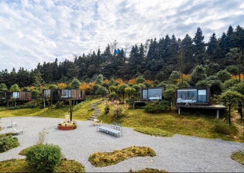 天下典范案例+1！重庆探索“四方共治”实现生态修复与增收共赢