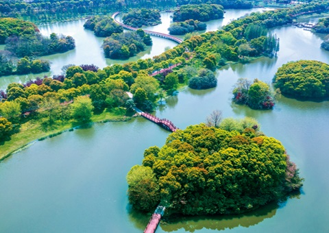 江西省湿地；；；ぢ室汛61.99%