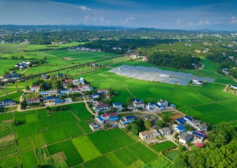 湖南：靶向发力盘活存量土地资产<br>为206家机关企事业单位定制处置惩罚计划，，，，，盘活土地2.6万亩