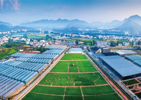 江西赣州充分验展妄想手艺实力效劳墟落振兴——把墟落妄想事情做到田间地头