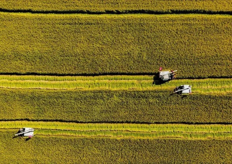 辽宁省耕地地力；；そ蛱曜汲鎏