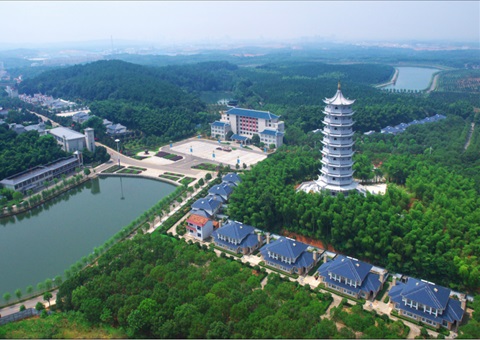 湖北：用好“一张图” ，，，，，智治有支持