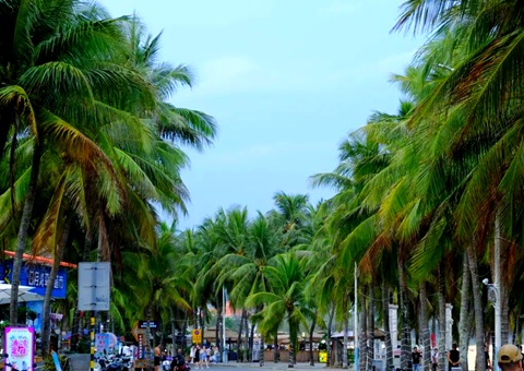 建“清凉都会”，，，，，海南有何“凉方”?