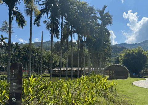 海南探索墟落妄想赋能： 用工业“串”起和美墟落“幸福链”