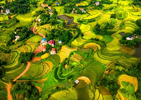 @农民朋侪 2025年重庆市耕地地力保唬唬护津贴计划来了