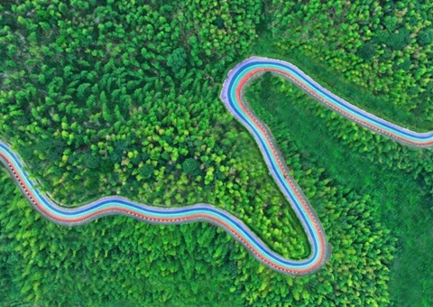 组合供应出新招，，竹海收益节节高——桃江县“桃花江竹海”自然资源资产组合供应推动生态产品价值实现案例