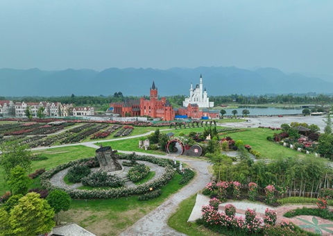 四川德阳修建全链条清静羁系系统助力“森林粮库”可一连生长