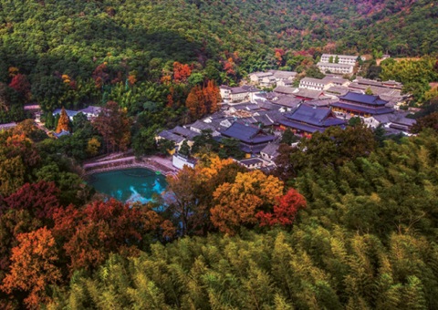 浙江：森林公园生态旅游怎样高质量生长？？