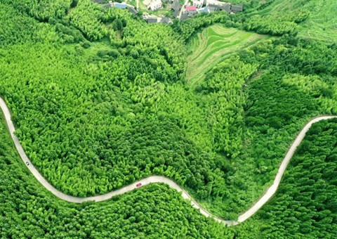 湖南宣布用地用林用草融合审批“蹊径图”