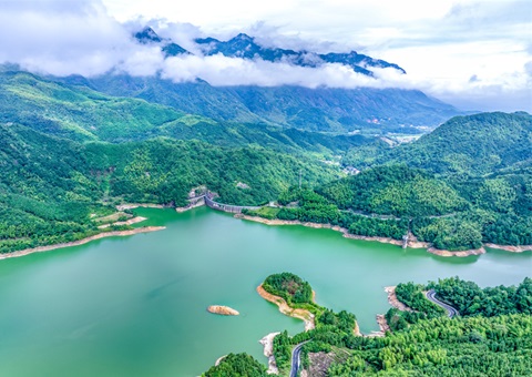 天下首单林业目的碳票碳减排量包管落户安徽池州
